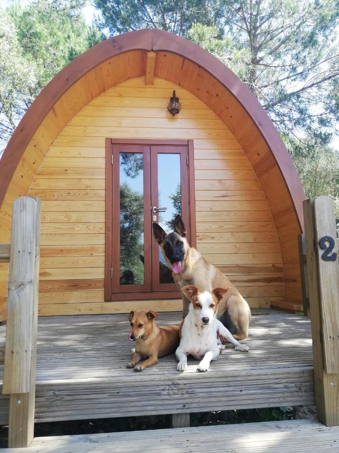 Glamping Sintra Hotel Екстериор снимка