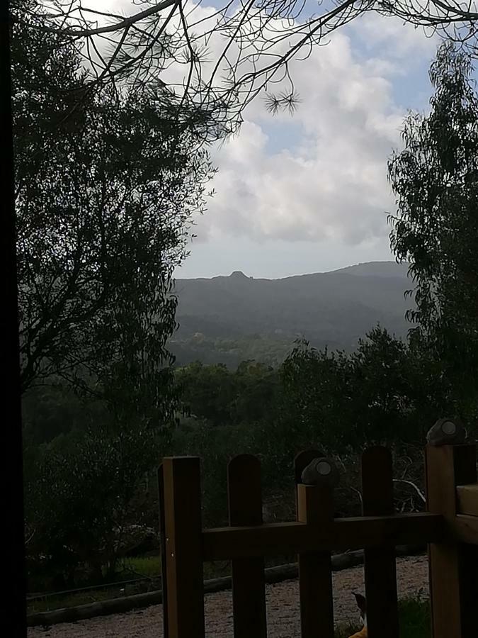 Glamping Sintra Hotel Екстериор снимка